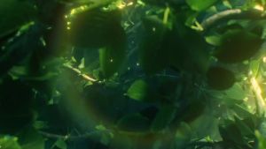 Totaria Shilajit Purest Himalayan Shilajit Resin - Gold Grade 100% Pure Shilajit with Fulvic Acid & 85+ Trace Minerals Complex for Energy & Immune Support