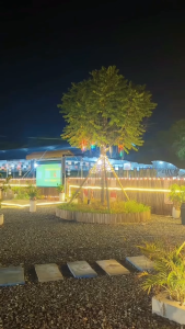 Luxio Flexible Led strip light 5M/10M/20M/50M Waterproof Energy-Efficient Warm/White Light for Home and Outdoor Decor