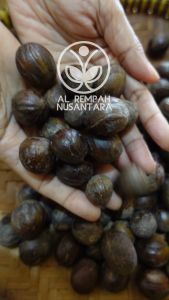 Biji Pala 100gr Grade A - Lebih Besar dan Padat