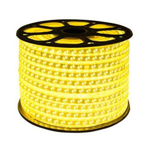 PAIMIJI | Waterproof Super Bright LED Light Strip 220V