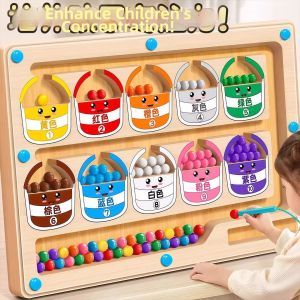 Magnetic Ball Maze Puzzle Toy