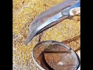 Filter Screen Soil Shovel Sturdy Easy Carrying Corn Peanut Filter Net Comfortable Handle Garden Sieve Soil Shovel Chestnuts Gardening Sieve Large Sieve for Separating Sample Sand Stone Filter Household Iron Wire round Industrial Separation Sieve