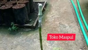 Cara Menggunakan Grafting Tape 3cm untuk Aksesoris Cangkok