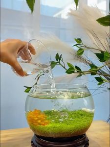 No water change for 60Year🔥yee nitrifying bacteria aquarium 550ml 12 hours water becomes clear No harm to fish bacteria starter 硝化细菌鱼缸 亚甲基蓝 净化水质 高锰酸钾 algae remover for Aquarium Fish Tank&Moss Algae yee aquarium clear water