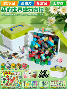 Feiyu | Magnetic Blocks Educational Building Toy Set