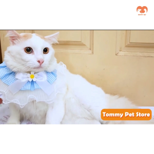 Ins Style Pet Lace Scarf Cat Lace Scarf Pet Decorative Collar Adorable Cat Scarf Photo Shooting Kolar Kucing