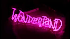 Wonderland Neon Sign USB Dimmable LED Neon Light for Bedroom Theme Hotel Bar Club Cafe Shop Salon Man Cave Decoration Gift
