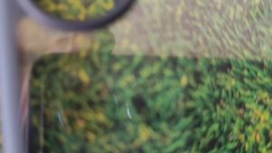 Casing Case Doff Plus Clear Samsung Galaxy S24 S24Plus S24Ultra S25 S25Plus S25Ultra Plus Ultra Softcase Premium