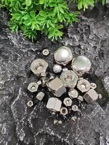 Yi Se Dian Zi | Low Profile Hexagonal Cap Nut 304 Stainless Steel