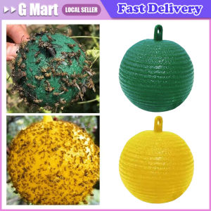 Bee Hive Beekeeping Tools For Beekeeper Supplies Foam Frame Holder Material Equipment Kit Beehive Pollination King Bees Hive Box