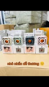 Loa Bluetooth Mini Bass Mạnh DW12 Vỏ Trong Suốt Nghe Nhạc Không Dây Bluetooth 5.0 Cầm Tay Nhỏ Gọn Hỗ Trợ Thẻ Nhớ