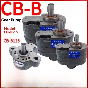 Hydraulic Gear Pump CB-B Series Cast Iron Oil Pump Parts Complete Set Pressure Pump Accessories from Jiangsu China