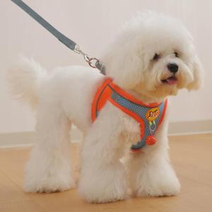 Dog Leash Walking Rope Pet Outing Tool Small Dog Chain Chest Back Belt Teddy Bichon Pomeranian Dog Harness Non-Extensible