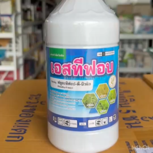 เอสทีฟอบ ฟลูอะซิฟอบ สารกำจัดวัชพืช (ใบแคบทุกชนิด) หญ้าใบแคบ ลูกข้าว ในพืชประธานใบกว้าง เช่น ถั่ว แตง มันสำปะหลัง คะน้า หอม กระเทียม พริก แปลงผัก