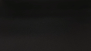 Partner Print - Nylon Cable Ties Black/ White - Straps for Cord & Wire