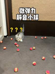 Silent Elastic Ball Toy for Cats And Dogs Durable Teeth Grinding Teaser Stick Pet Supplies That Entertain Themselves