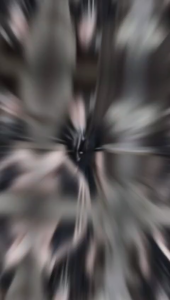 Váy xoè ngắn chiết eo phối cổ bèo trắng có nơ buộc đính cúc đá NEWFASHION99