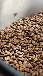 Ethiopia Djimmah Arabica Coffee Beans Whole Bean Freshly Roasted 250g 500g 1kg Medium Filter Medium-Dark Espresso Dark Espresso