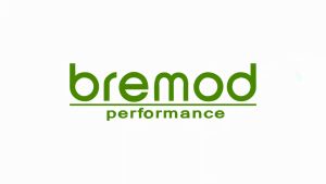 Bremod Collagen Cold Wave Hair Curling Curls Styling Fashionable Long-lasting Elastic Shiny BR-T017
