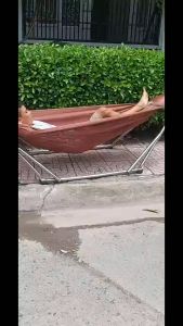 Võng lưới 2 lớp dày rộng  khổ 150x 230cm màu cà phê siêu chất