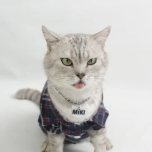 Kalung Kucing Custom Nama Lonceng Lucu Terbaru Gratis Ongkir - Kitty Plaid Necklace Series