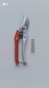 [VIENA] Gunting Dahan Gunting Taman Ranting SLG