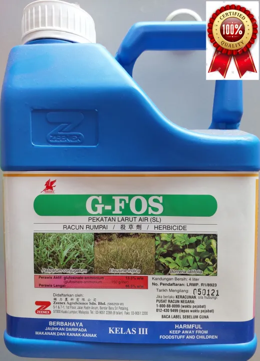 Ayollarning shaxsiy fotosuratlari