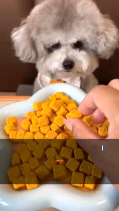 Thức ăn sấy dinh dưỡng cho Chó Mèo MasterCare For Pet hỗ trợ thận và tiết niệu