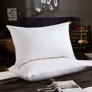 Hotelling Hotel Special Buckwheat Feather Pillow Core Pillow Home Use Adult Neck Support Sleep Aid Single Person Pair Two Use Pillow
