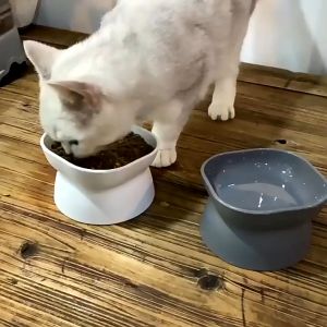 10° Tilted Cat Bowl Bekas Makanan Kucing Cat Food Bowl Pet Feeder Tempat Makan Kucing Cat Feeder Bekas Air Kucing