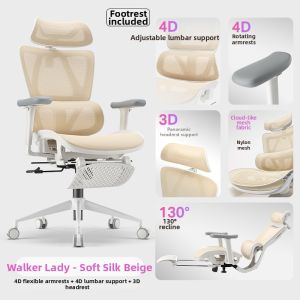 Ergonomic Chair