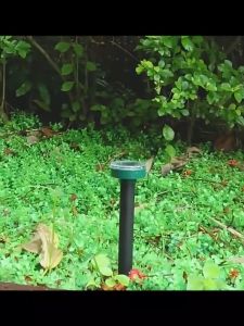 🔥New🔥 เครื่องไล่นก ไล่แมลงอัลตรา พลังงานแสงอาทิตย์ ไล่สัตว์ อัลตราโซนิก 360° เครื่องไล่แมว เครื่องไล่สัตว์