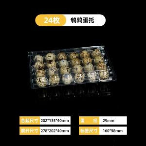 Disposable Plastic Quail Egg Tray Transparent Storage Box Packaging Container Multi-Specification Egg Holder for Dining Table