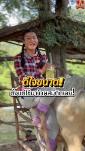 แก้ปัญหารังไข่ลีบแบน สัตว์แข็งแรงโตเร็ว ช่วยปรับสมดุลฮอร์โมนภายในร่างกาย ลดปัญหาการผสมพันธุ์ยาก ไคโตซานพลัสฝาทอง6ขวด วิตามินและอาหารเสริมสัตว์ ส่งไว