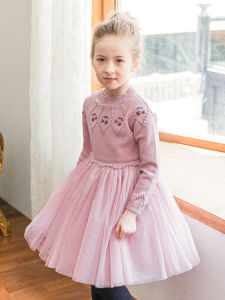Princess Style Knitted Dress for Girls Embroidered round Neck Mesh Skirt Autumn Winter Childrens Dress Little Girl Fashionable Princess Dress