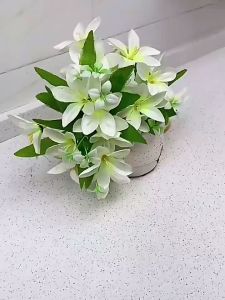 Sabun Bubuk Pembersih Lantai Sabun Penghilang Noda Stone Cleaning Powder