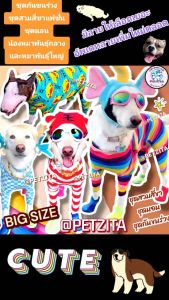 🇹🇭พร้อมส่ง🇹🇭(ลิ้งค์ 2)💥🐶🐕 BIG SIZEชุด สี่ขา ชุดกันขนร่วง สุนัขพันธุ์ใหญ่ หมาใหญ่ ไซบีเรียน เสื้อสุนัข