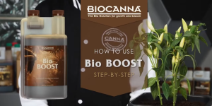 CANNA BIOBOOST | Organic Bloom Stimulator | บูสเตอร์อินทรีย์เร่งดอก