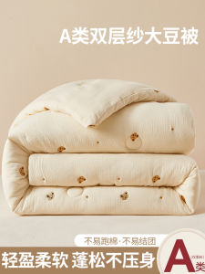 Thickened Class a Double Layer Soy Fiber Quilt Winter Single Person Spring Autumn Childrens Core Four Seasons Universal Quilt