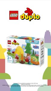 [BrickMonster] Lego 10452 Duplo Camping Trip (Peppa Pig)