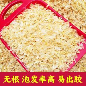 Commercial Quality Unsulfured Easy-to-Gel Silver Ear Fungus
