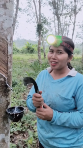 ปุ๋ยน้ำทาบำรุงหน้ายาง พาราโกลด์ สูตร 2 จำนวน 1ลิตร แถมฟรี! มีดกรีดยาง เจ้าสัวบาว *สินค้ารับประกัน