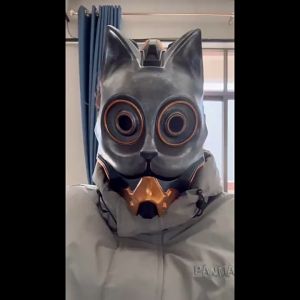 Punk Cat Mask Ball เทศกาลตลก Props เรซิ่นหน้ากากนกฮูกสัตว์หัวนก