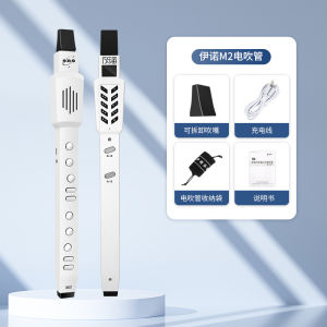 MINI Electric Blow Tube Electric Blowpipe 12 True Sampling Tones for Automatic Vibrato Electric Blowpipe with Bag Charging Cable