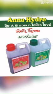 ปุ๋ย AB แอนนา ไฮโดรฯ น้ำ และแห้ง ซื้อ 1 ได้ 2 (A+B)