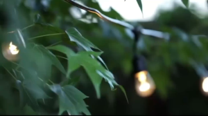 สายไฟห้อยระย้า ขั้ว 1-100เมตร สั่งตัดได้ งานคุณภาพ กันน้ำ เส้นหนา ทนทาน ขายไฟราว ราคาไฟราว ไฟราวสําเร็จรูป