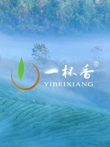 YIBEIXIANG | Fresh Spring 2026 Fragrant Longjing Tea 250g