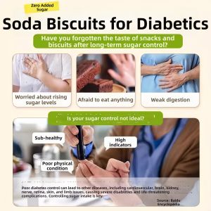 YIFANGYOUTA | Diabetic-friendly Salted Soda Biscuits