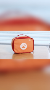 Pet Care Playset
