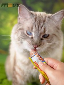 10pcs Meowsoo Snack Kucing Camilan Kucing Creamy Treats Kucing Makanan Kucing